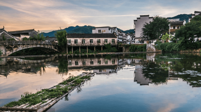 安徽萧县马井镇孙庄村: 党建聚力 解锁致富“密码”