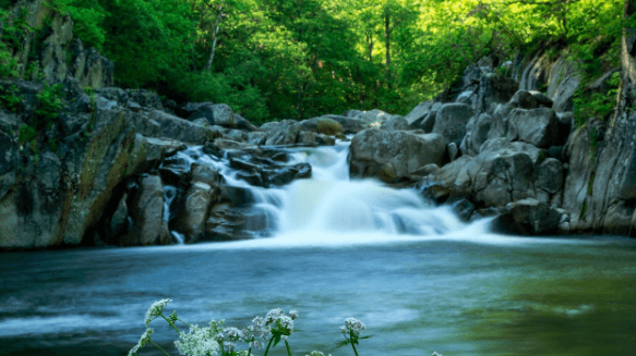 党建引“岭”:以“党建5+”建设激发党建工作新活力