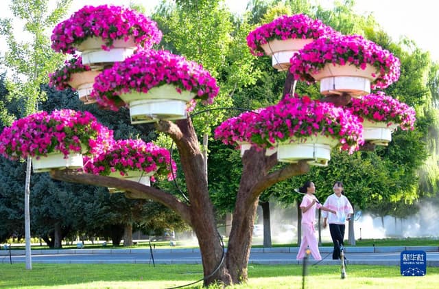 内蒙古鄂托克前旗:“迷你公园”让生活更美丽