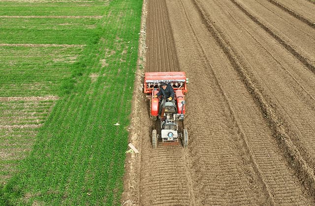 山东聊城:寒潮至 抢种忙