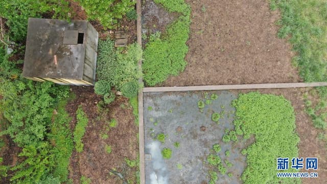 “优秀示范村”的尴尬:污水处理站长期“沉睡”,农民自建厕所不敢用