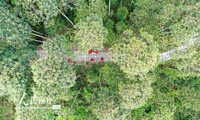 四川仁寿:“红马甲”守护森林安全