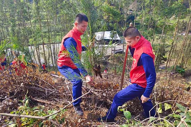 广西钦州消防:“党建+雷锋月”志愿服务谱写为民赞歌