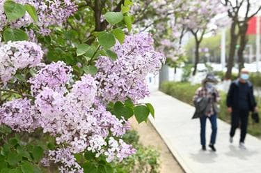 青海西宁:静态管理逐步解除 恢复生产生活秩序
