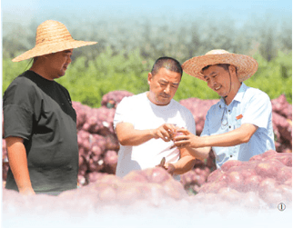 组织为干部担当 干部为事业担当(深度关注·党旗在基层一线高高飘扬)