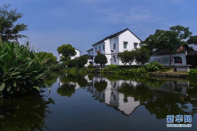 浙江嘉善:积极推进乡村振兴高质量发展