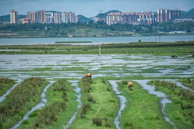 告别苦瘠 再启新程——中国最后九个脱贫县巩固振兴周年观察