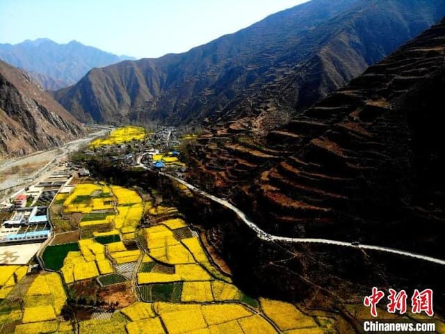 陇南渐破“难弄事”:农产“利润”都在山外面