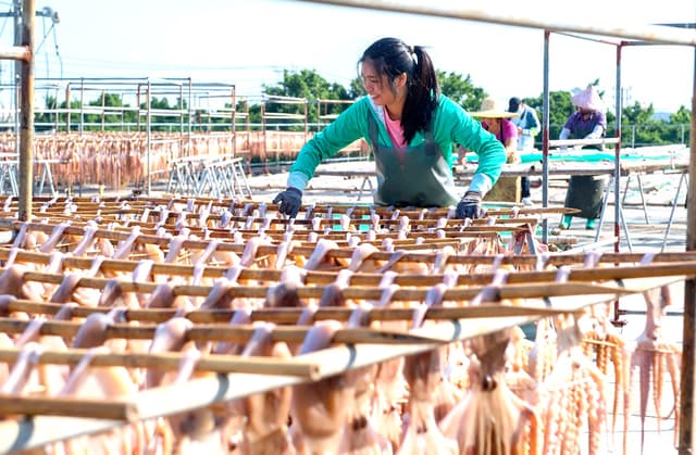 广西北海:渔民出海获丰收“晒海味”