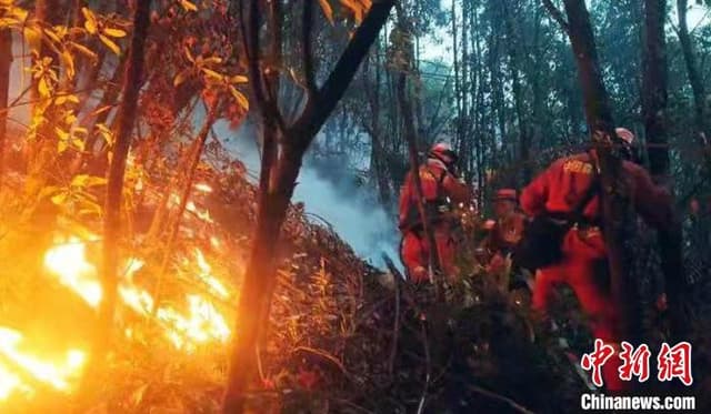 四川冕宁石龙镇森林火灾:持续5天 各救援力量合力攻坚