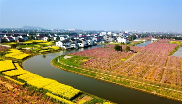 江苏省江阴市顾山镇:“红豆故里”邀您来打卡