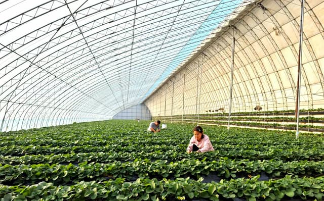 辽宁朝阳县尚志乡:于攻坚浪潮中勇进 铸乡村振兴辉煌篇章