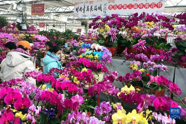山东青岛:“年宵花节”春意浓