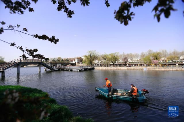 山东即墨:保护城中河 生态景观美
