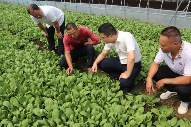 江西南昌县幽兰镇：党建引领奏响乡村振兴“新乐章”