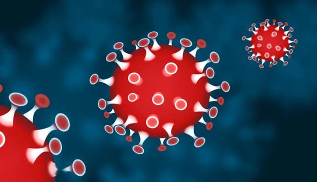 中国-世卫组织新冠病毒溯源联合研究报告认为—— 病毒“极不可能”通过实验室传人