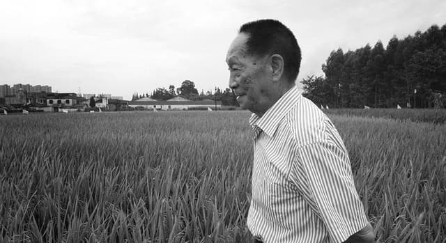 悼念!“杂交水稻之父”袁隆平逝世,享年91岁