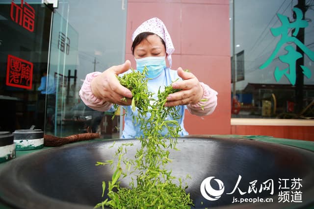 江苏仪征:“明前茶”飘香 春茶采摘忙