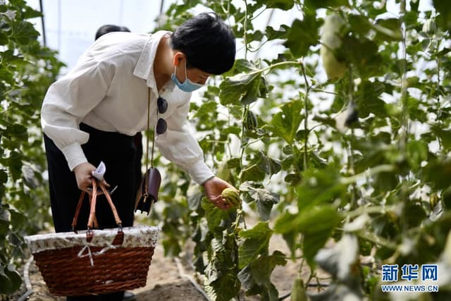 河北丰润:“农旅融合”激发乡村活力