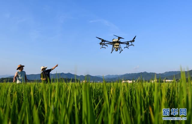 湖南常宁:“空中管护”忙