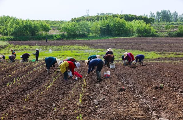 河南光山:立夏时节农事忙