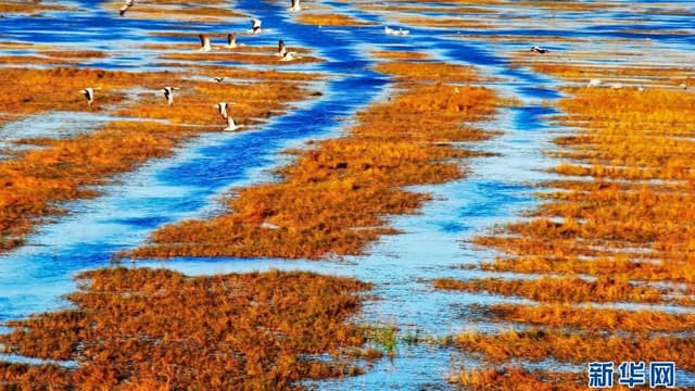 “七一”重要讲话精神在基层|黔贵大地上演“绿色逆袭”——来自国家生态文明试验区(贵州)的调查报告