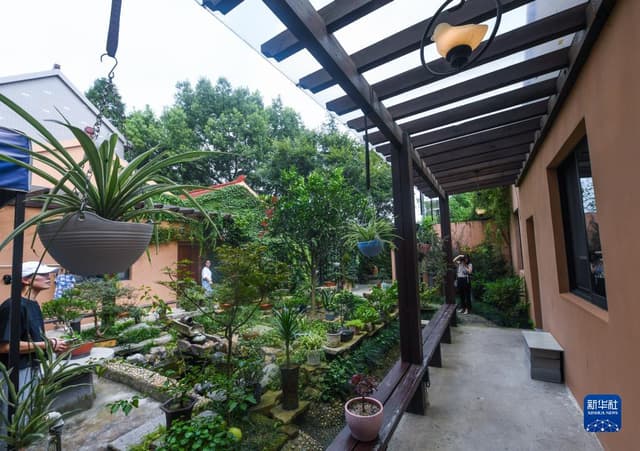 浙江嘉兴:创建优美庭院 助推共同富裕