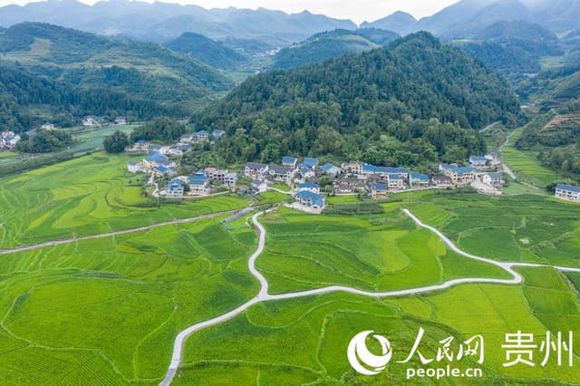 贵州遵义:乡村特色农业 绘就振兴画卷