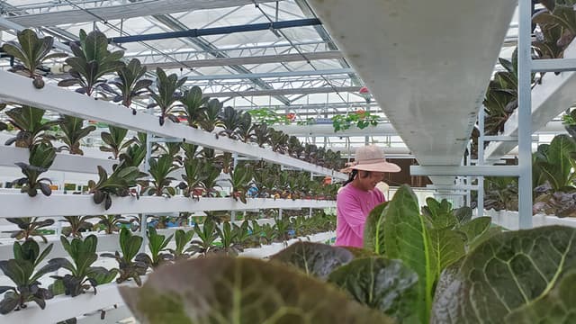 湖南永州:现代生态农业田园综合体助推乡村振兴