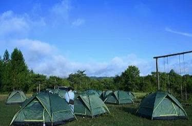 自驾、露营、研学——暑期旅游玩出新花样