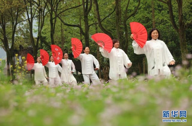 湖南张家界:生态田园舞太极