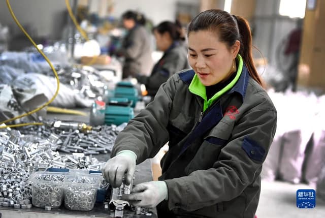 陕西安康:巴山“归雁”成为乡村振兴的“领头雁”