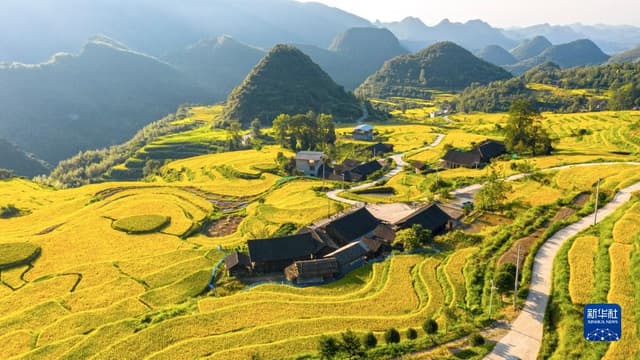 湖南东安:山村梯田丰收在望