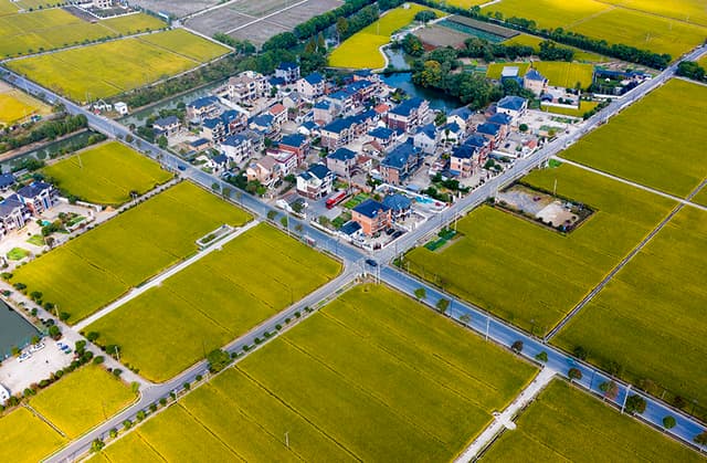 浙江杭州:乡村道路 畅安舒美