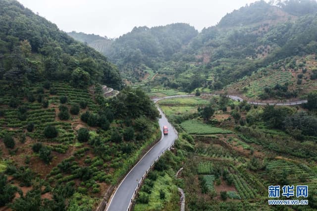 浙江诸暨:“村村通公交”便捷山乡百姓出行“最后一公里”