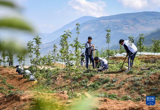 四川越西:山野间的快乐劳动课