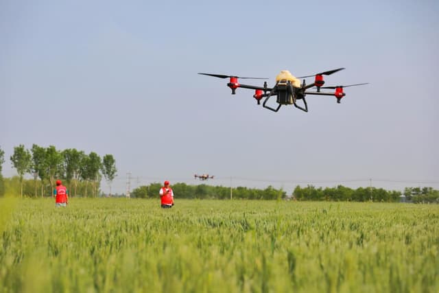山东乐陵:“田管家”助粮食增产增效