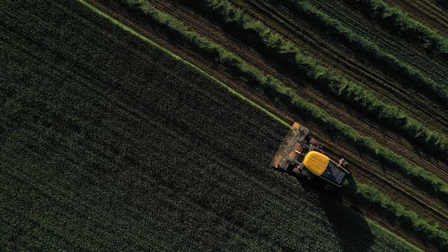 麦香四溢 祁连山下丰收忙