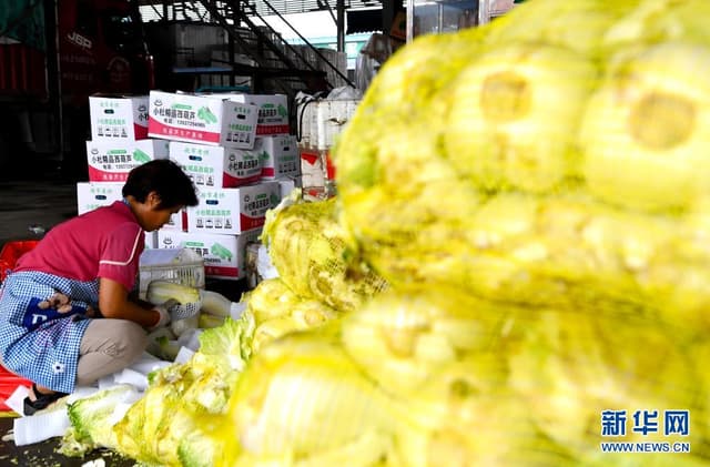 河南郑州农产品供应充足