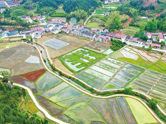 乌石村:画笔点活致富路 “石”绘产业新画卷