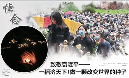 致敬袁隆平—— 一稻济天下!做一颗改变世界的种子