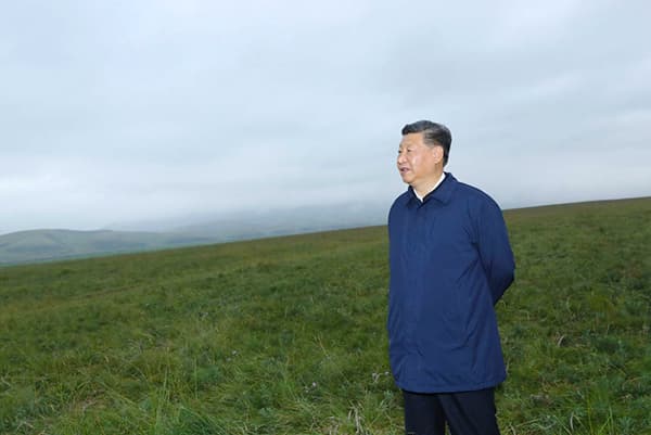 总书记心中的美丽中国·草 |草木植成,国之富也