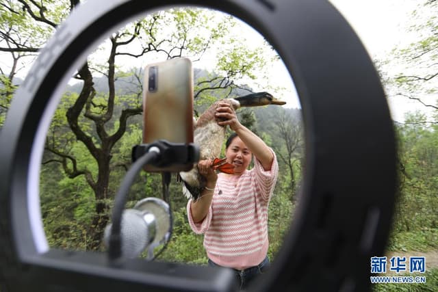 贵州玉屏:“女货郎”送货记