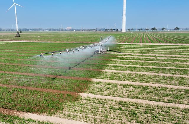 河南滑县:加强田间管理 确保小麦安全越冬