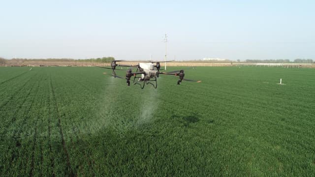 河北:农田“三变”助力农业增效农民增收