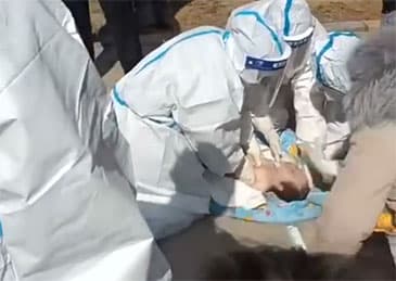 一周半婴儿做核酸被志愿者捅死?唐山警方辟谣