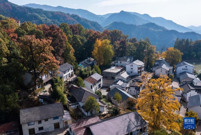浙江临安:山乡金秋美 秋叶助共富