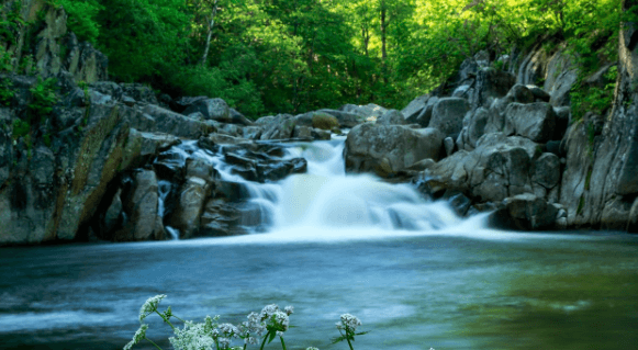 党建引“岭”:以“党建5+”建设激发党建工作新活力