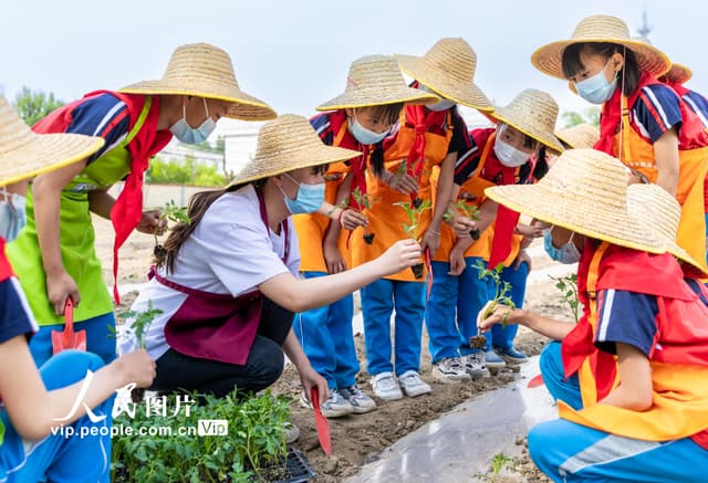 呼和浩特:劳动实践助力健康成长