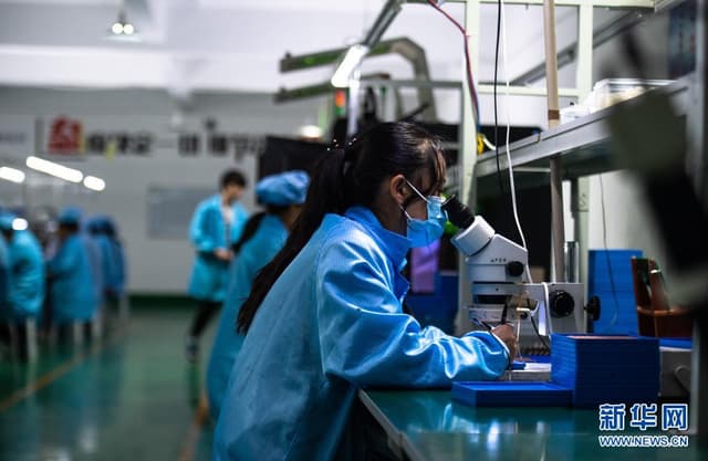 云南会泽:致富“组合拳” 助力乡村振兴